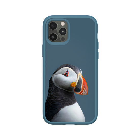 Puffin