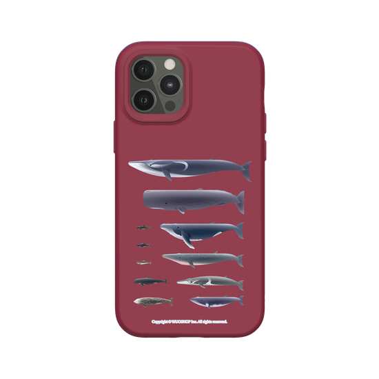 Miniature Field Guide-Whale(Clear)