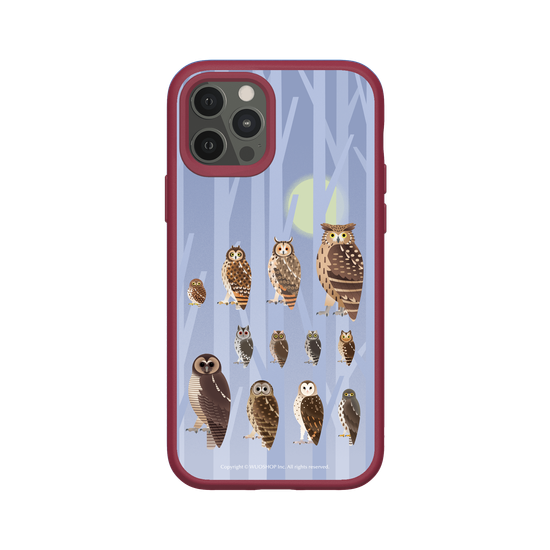 Miniature Field Guide-Owls(Color)