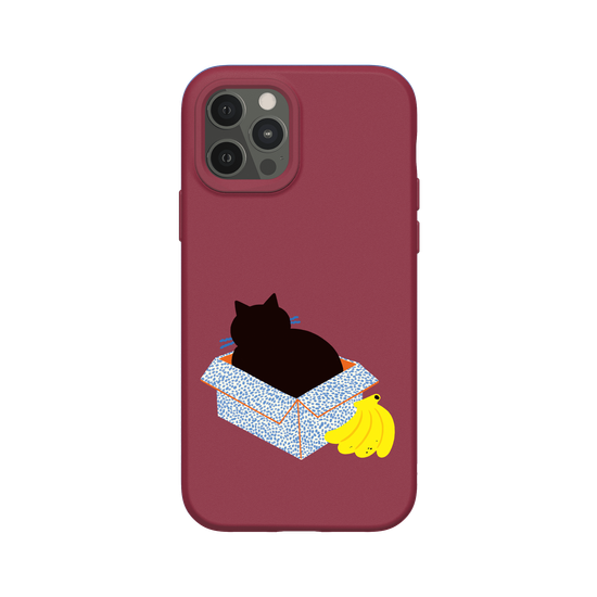 Box Lover