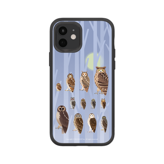 Miniature Field Guide-Owls(Color)