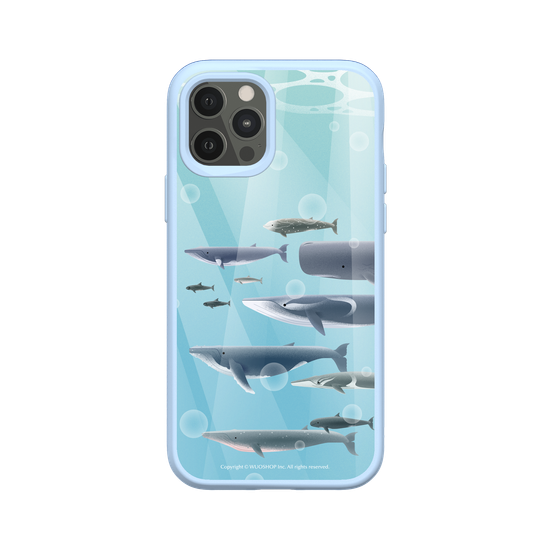 Miniature Field Guide-Whale(Color)