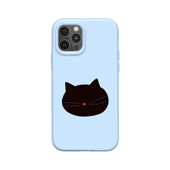 Black Cat Love