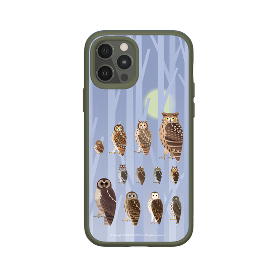 Miniature Field Guide-Owls(Color)