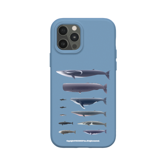 Miniature Field Guide-Whale(Clear)