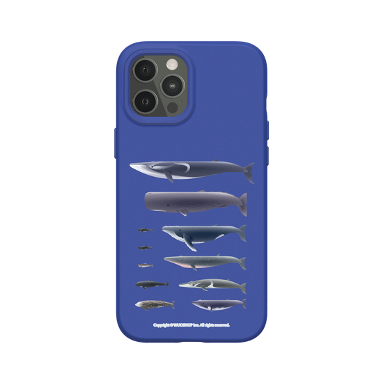 Miniature Field Guide-Whale(Clear)