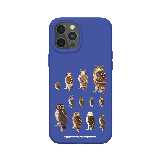 Miniature Field Guide-Owls(Clear)