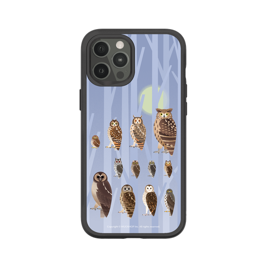 Miniature Field Guide-Owls(Color)