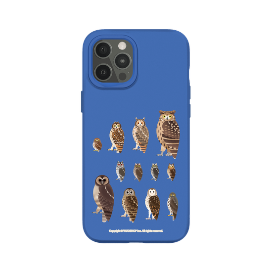 Miniature Field Guide-Owls(Clear)
