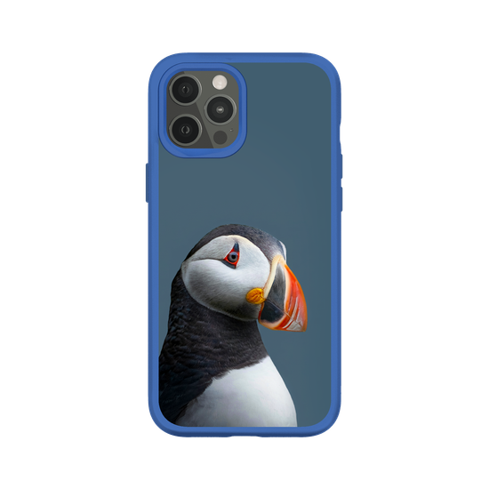 Puffin