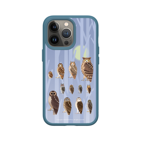 Miniature Field Guide-Owls(Color)