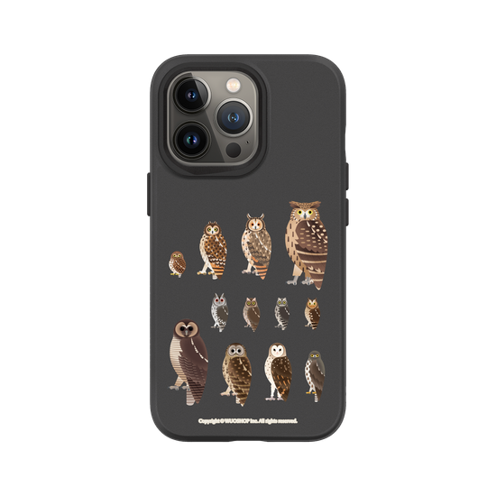 Miniature Field Guide-Owls(Clear)