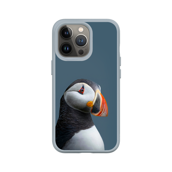 Puffin