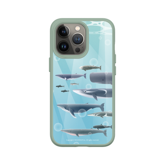 Miniature Field Guide-Whale(Color)