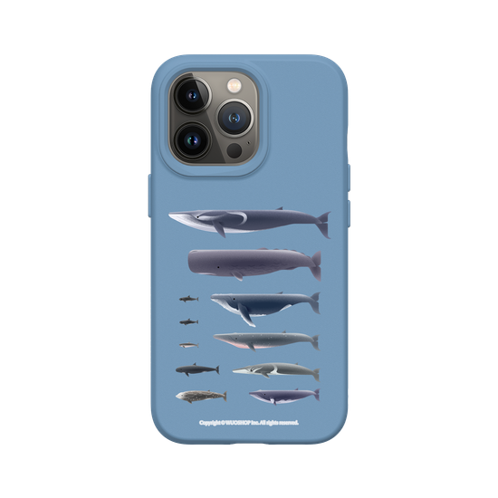 Miniature Field Guide-Whale(Clear)
