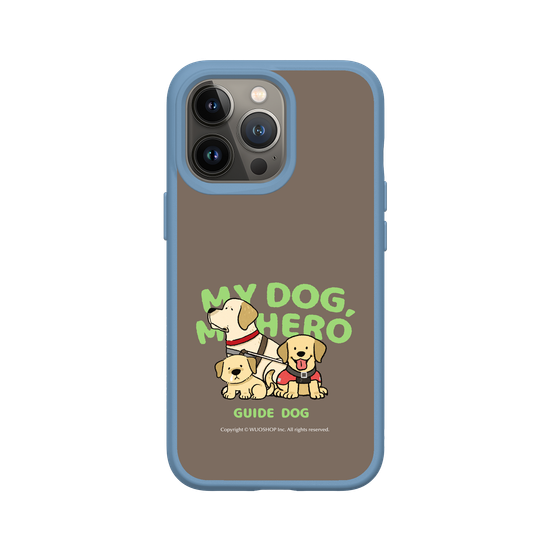 My dog, My hero-Guide Dog: Goldador(Color)