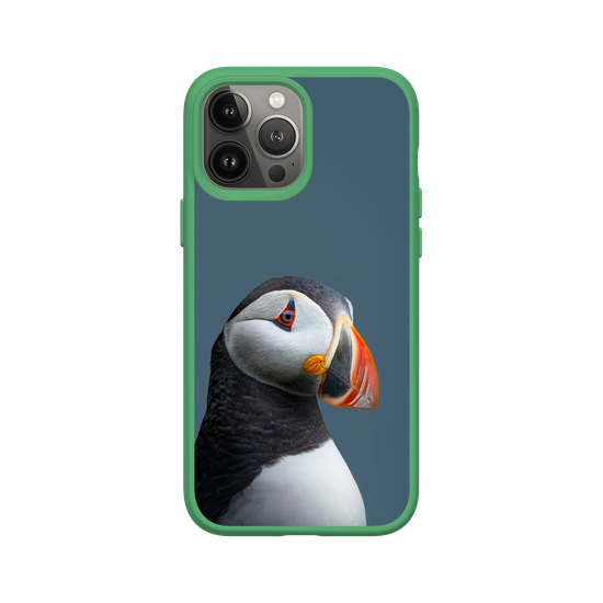 Puffin