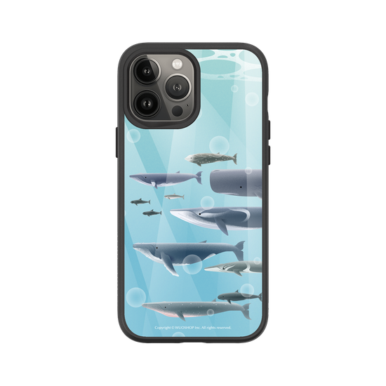 Miniature Field Guide-Whale(Color)