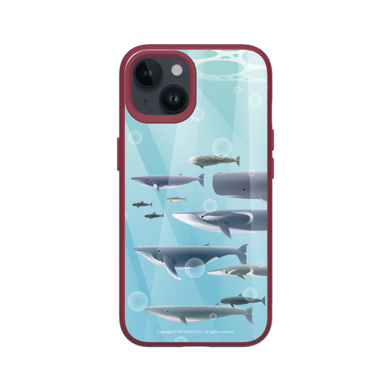 Miniature Field Guide-Whale(Color)