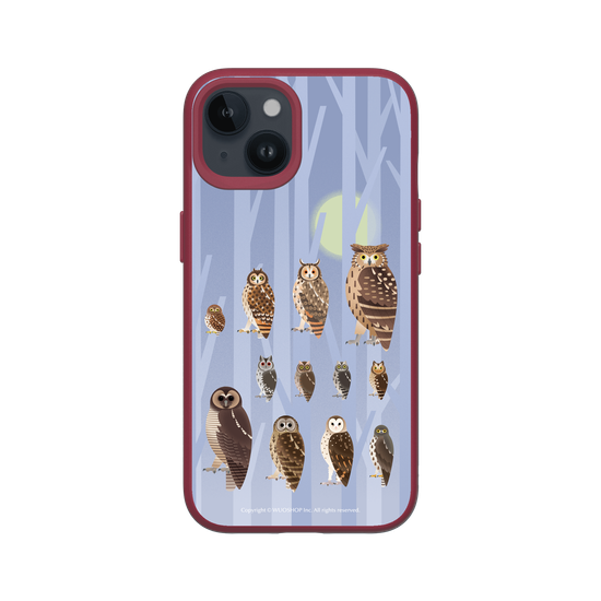 Miniature Field Guide-Owls(Color)