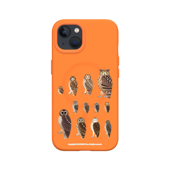 Miniature Field Guide-Owls(Clear)