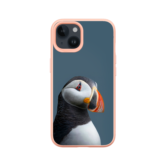 Puffin