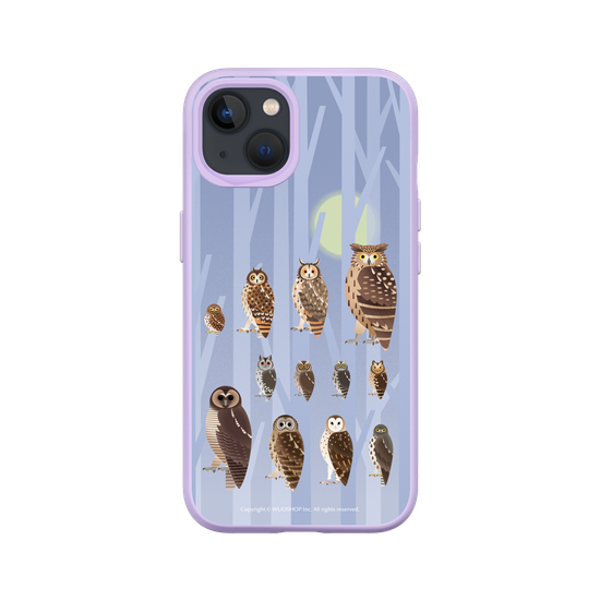 Miniature Field Guide-Owls(Color)