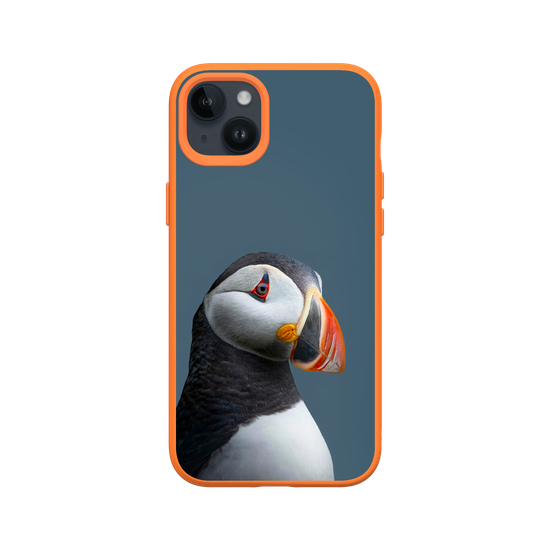 Puffin