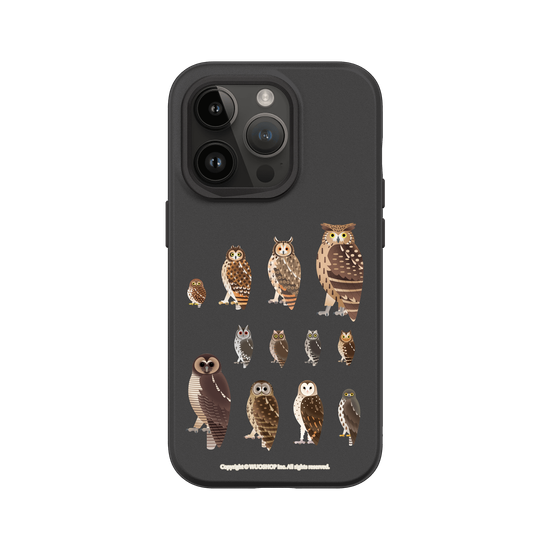 Miniature Field Guide-Owls(Clear)