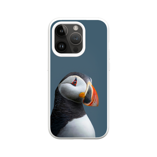 Puffin