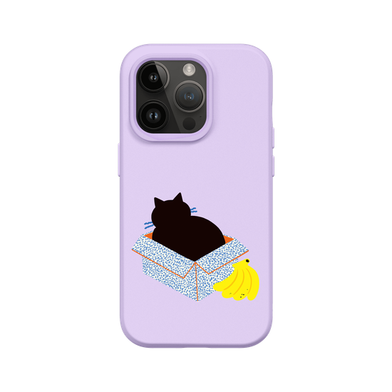 Box Lover