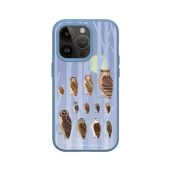 Miniature Field Guide-Owls(Color)