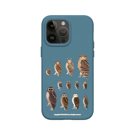 Miniature Field Guide-Owls(Clear)