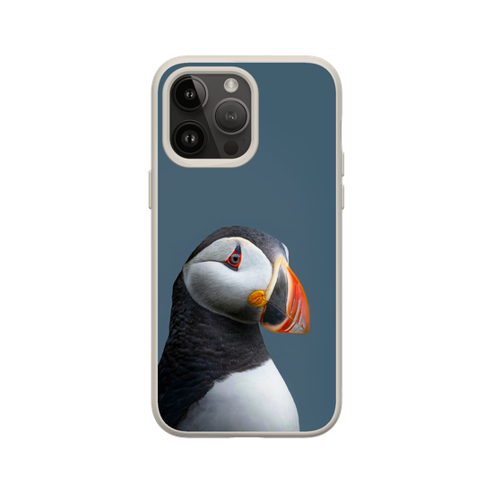 Puffin