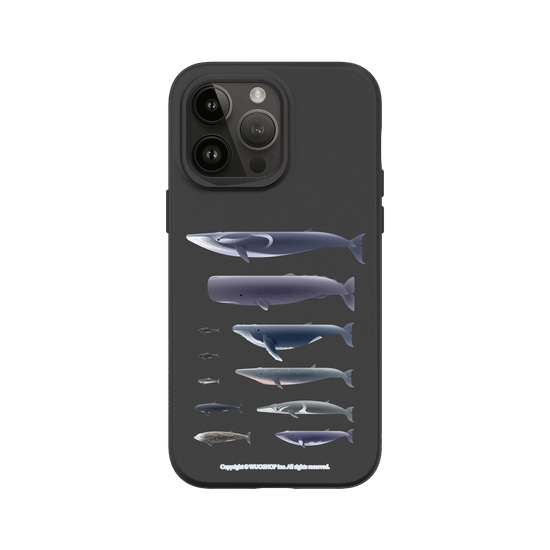 Miniature Field Guide-Whale(Clear)