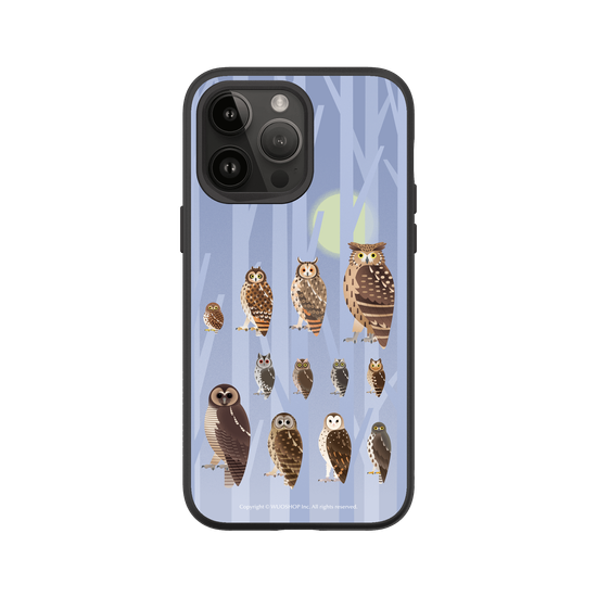 Miniature Field Guide-Owls(Color)