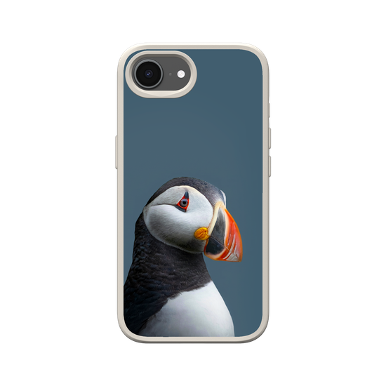 Puffin