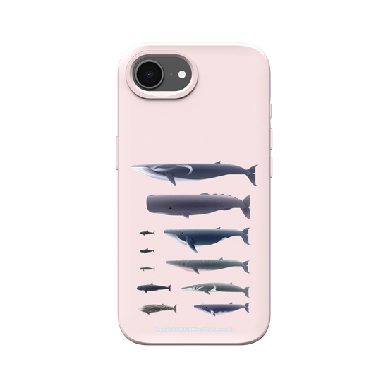 Miniature Field Guide-Whale(Clear)