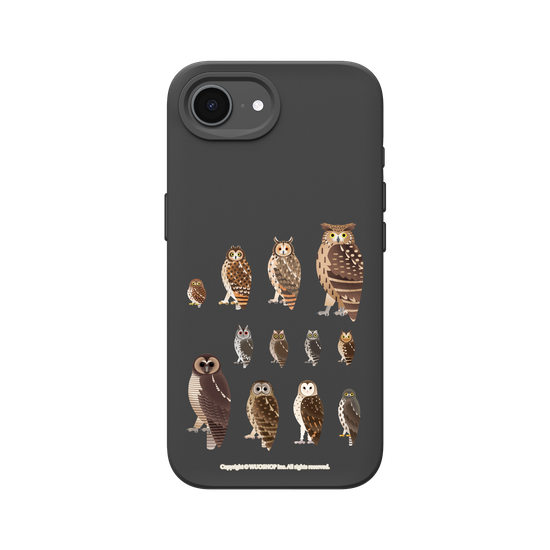 Miniature Field Guide-Owls(Clear)