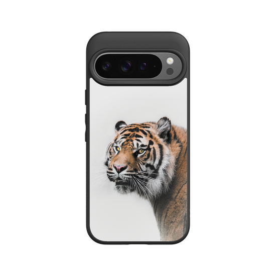 Tigre