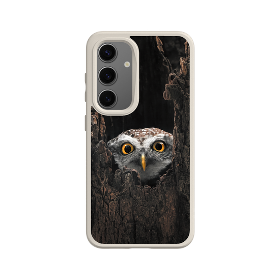 Owl in Tree