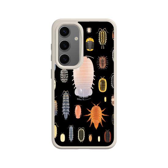 Isopoda
