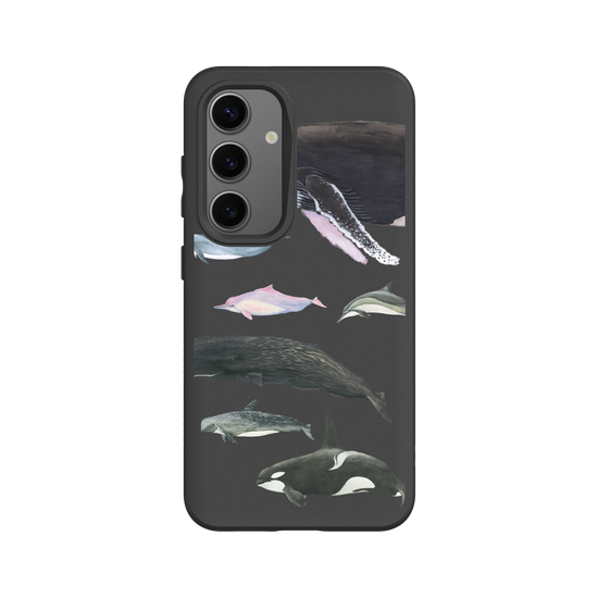 Whale and Dolphin on the phone