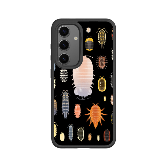 Isopoda