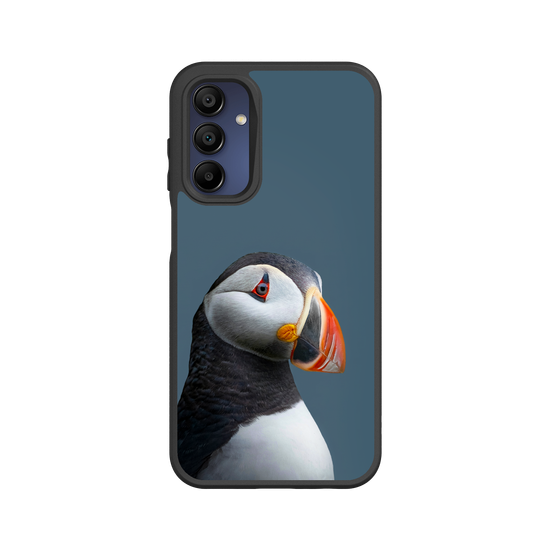 Macareux Moine