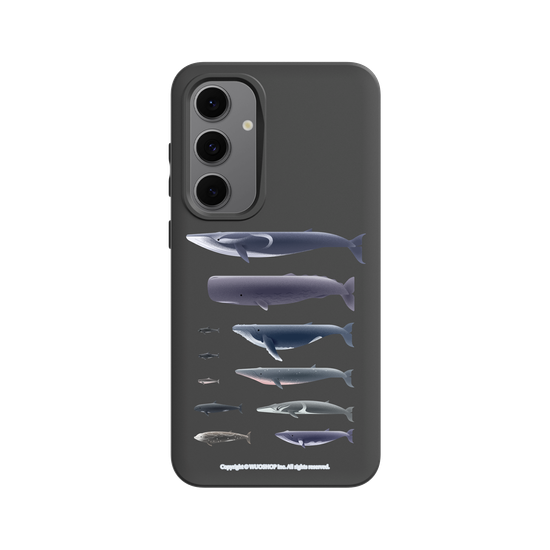 Miniature Field Guide-Whale(Clear)