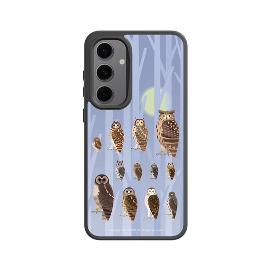Miniature Field Guide-Owls(Color)