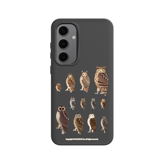 Miniature Field Guide-Owls(Clear)