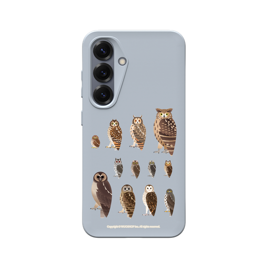 Miniature Field Guide-Owls(Clear)