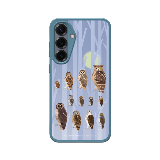 Miniature Field Guide-Owls(Color)